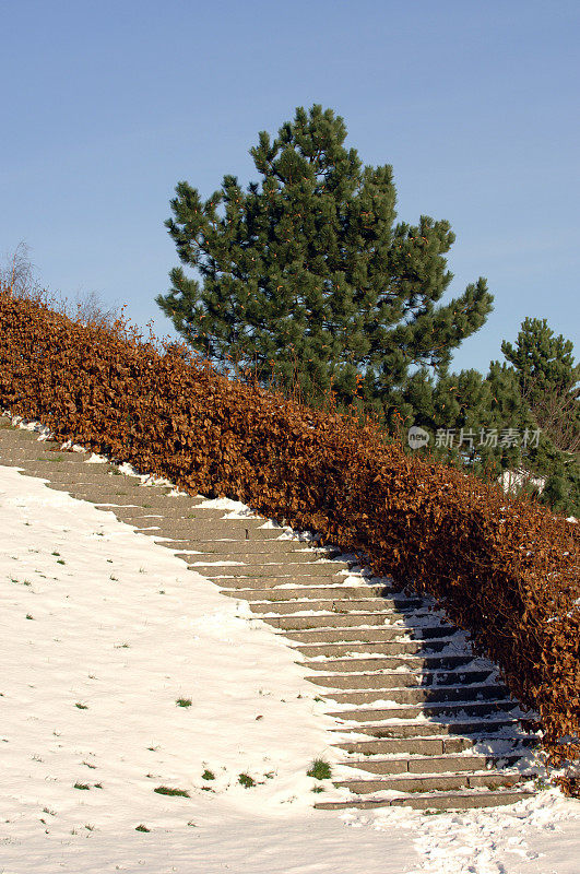 冬季楼梯，Loisiana，丹麦。