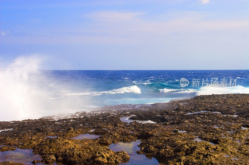 粗糙的海岸,阿鲁巴岛