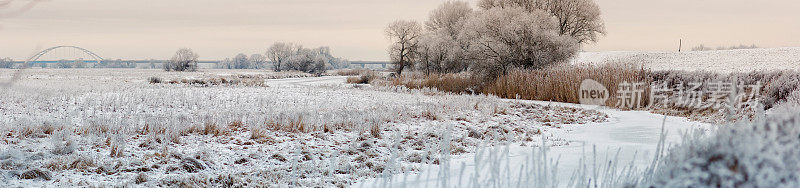 易北河冬季景观中的雪柳树(德国)