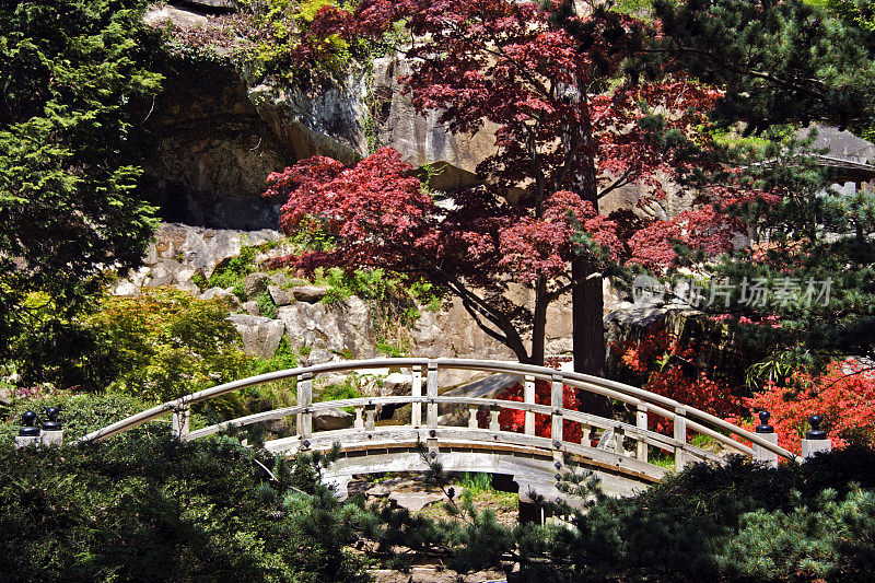 宁静的场景