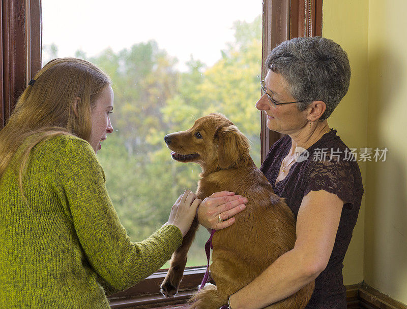 两个带着狗的女人在窗边