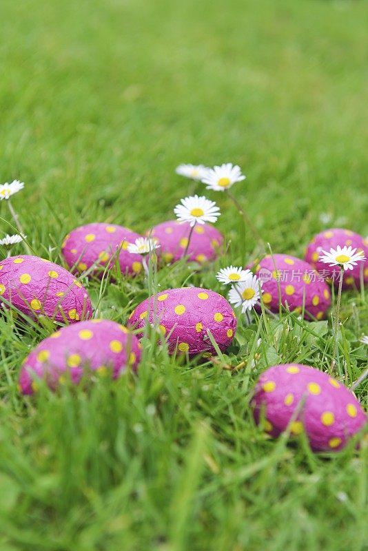雏菊草地上的巧克力复活节彩蛋