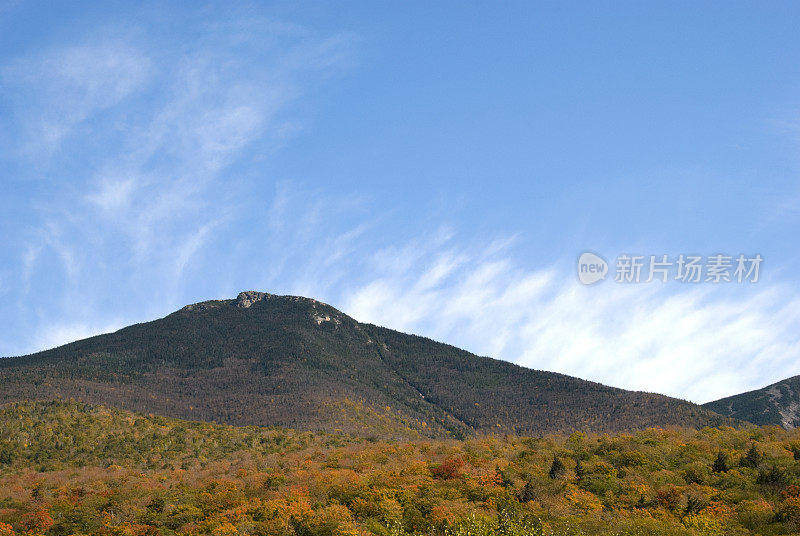 秋天树叶