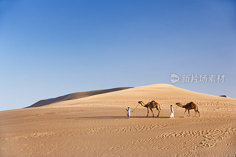 非洲西撒哈拉沙漠上的贝都因人和骆驼