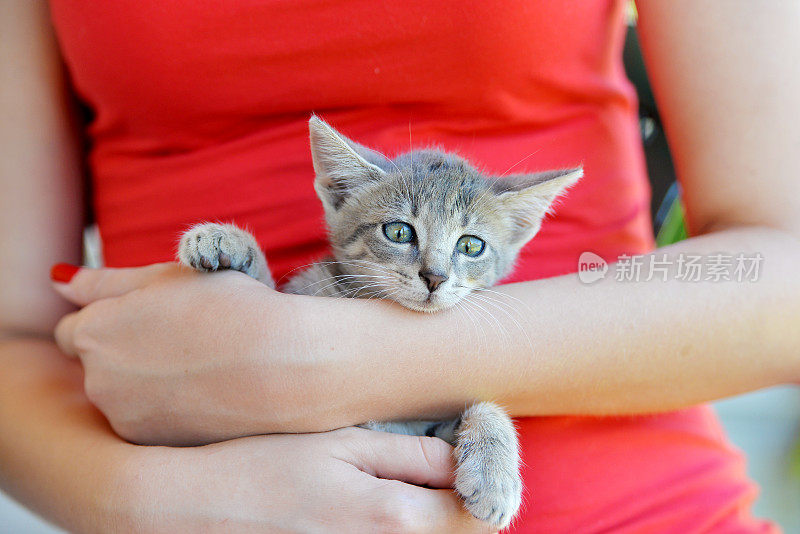 女孩坐着和她的小猫玩