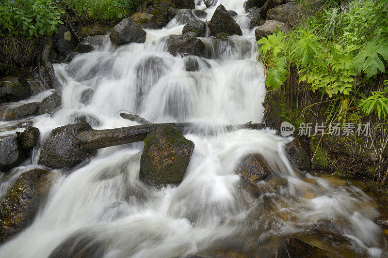 森林瀑布，落基山国家公园