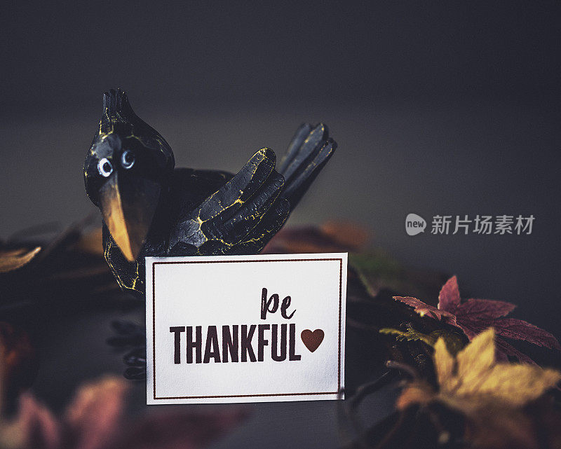 感恩的背景有乌鸦，落叶和留言