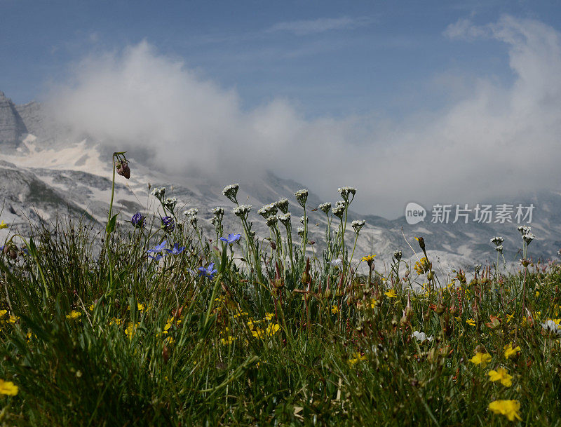 山景