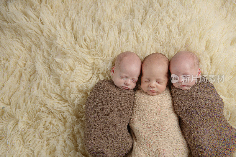 新生儿睡觉三胞胎