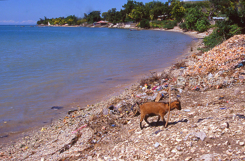 太子港东北部海岸线遭飓风破坏，海地加勒比地区也到处散落着垃圾