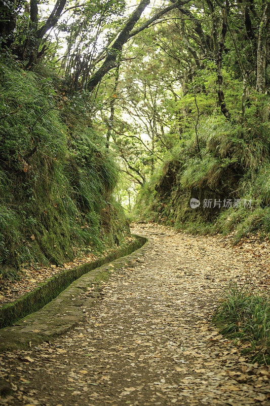 在马德拉岛徒步旅行