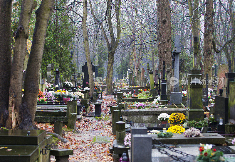 波兰华沙天主教墓地中一排排带着鲜花和灯的坟墓。