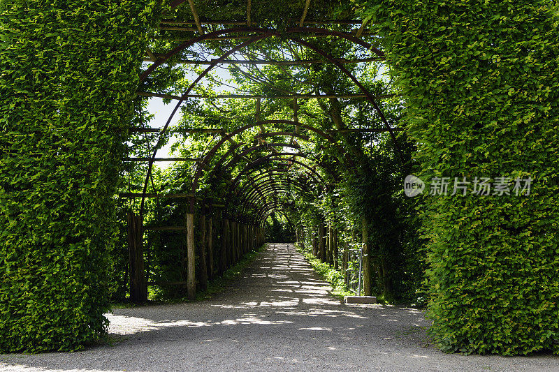 大门的图书树篱和一个杂草丛生的拱形藤架作为植物通道，公园和花园的设计