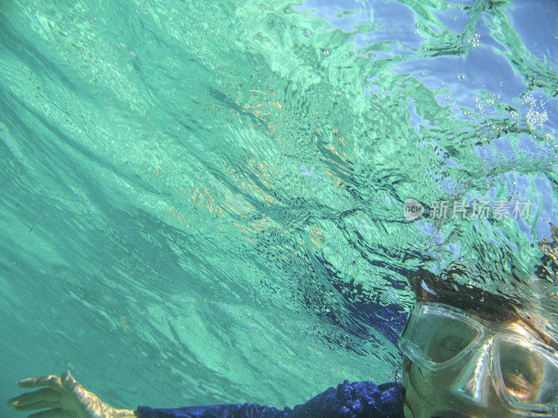 绿松石水浮潜