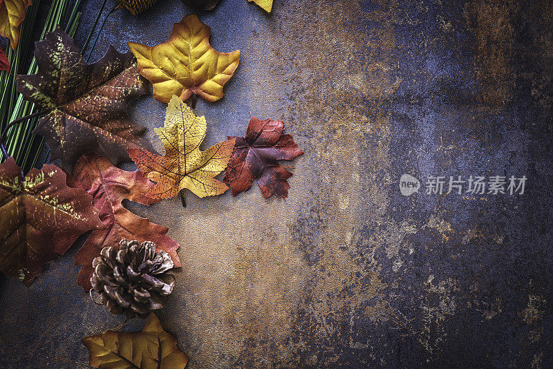 秋天装饰背景与树叶和坚果