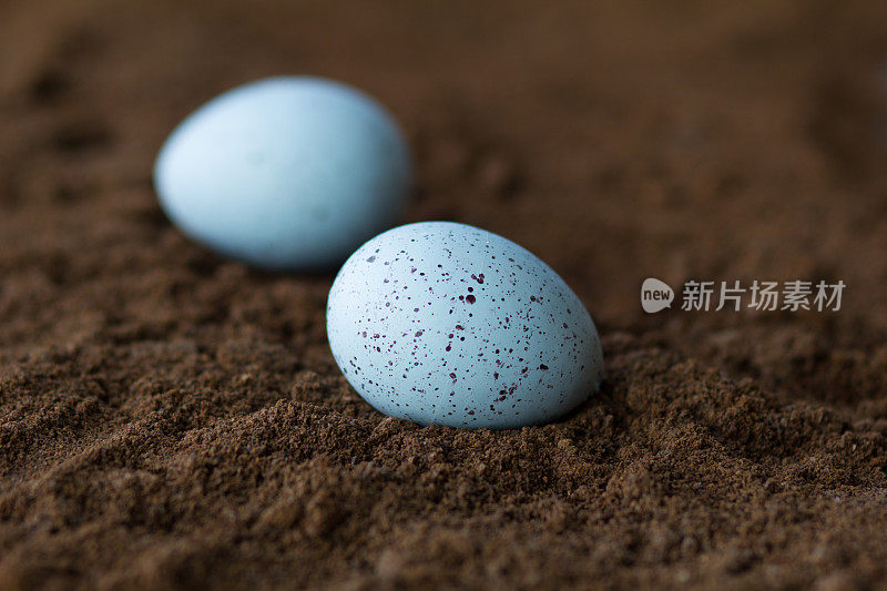 两个装饰性的，复活节蓝斑点蛋与土壤结构