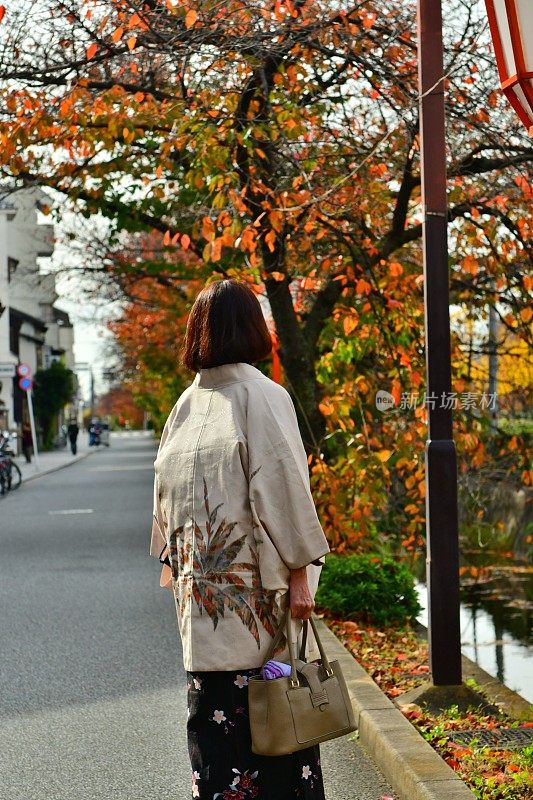 穿着和服的日本妇女行走在京都加茂河畔