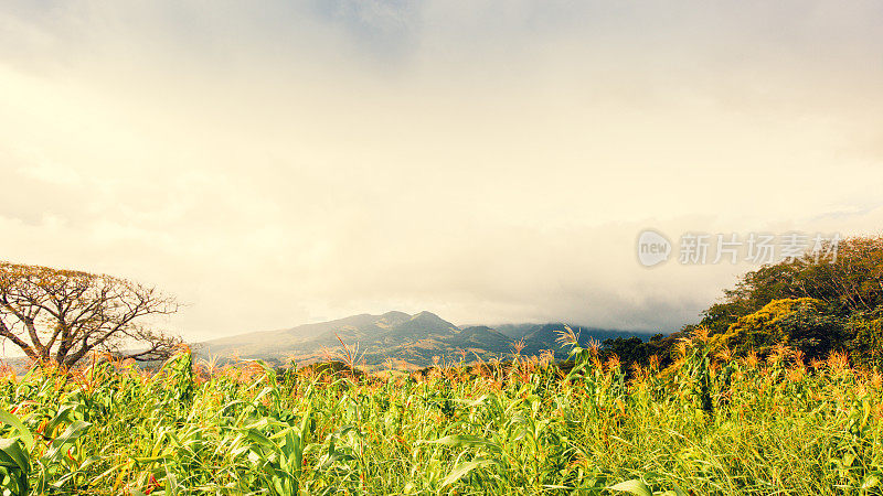 Tenorio火山地区，哥斯达黎加自然，景观