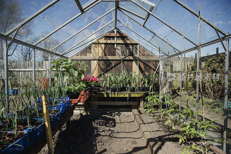 英国植物温室