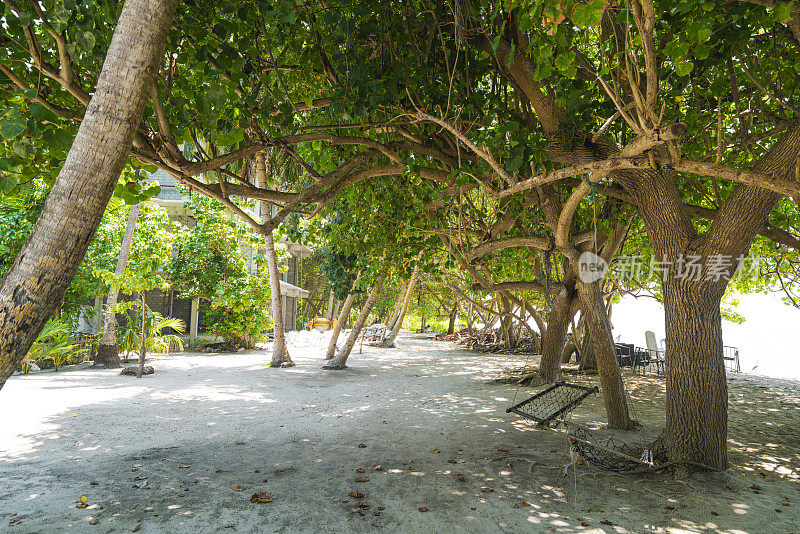 在马尔代夫的小岛Fulidhoo，传统的悬挂沙发、吊床在树荫下休息