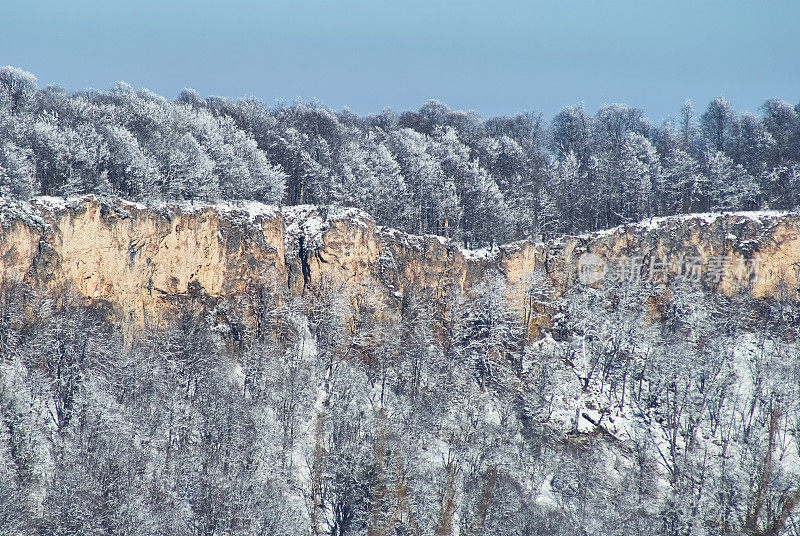 悬崖的全景。前景是一片白雪皑皑的森林，背景是蔚蓝的天空。拉各斯纳基，主要的高加索山脉，俄罗斯