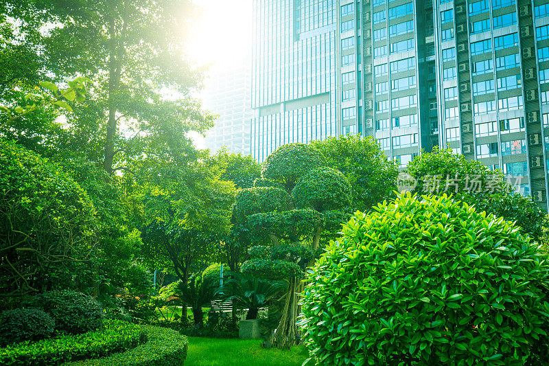 办公楼绿树成荫，城市公园绿树成荫