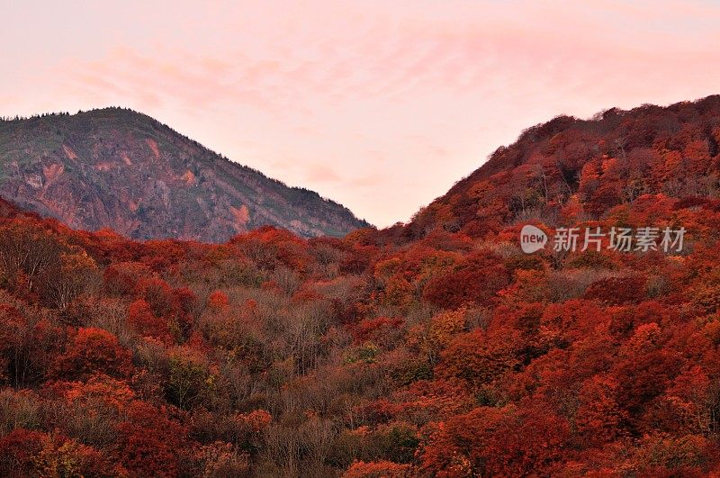 日本东北部和田市秋季沼泽的光影