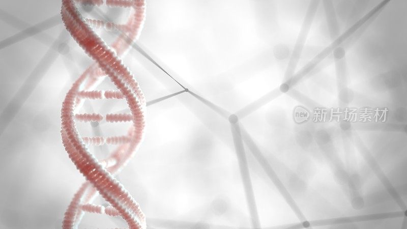 DNA结构遗传物质宏观