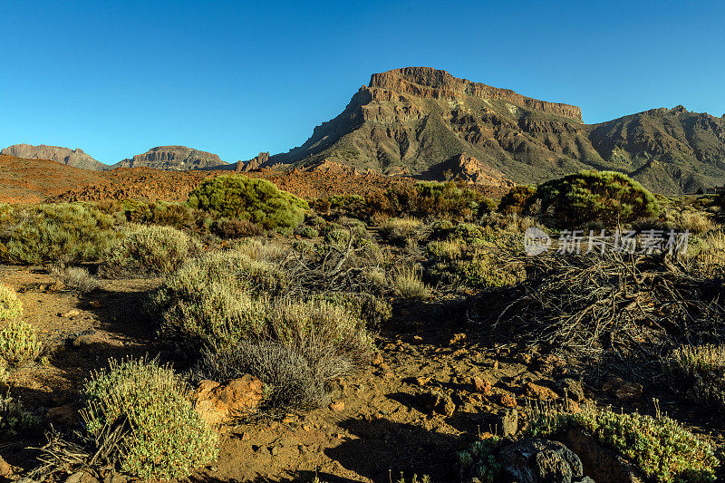 Teide山景观，Teide火山和Teide国家公园的熔岩风景-特内里费，西班牙