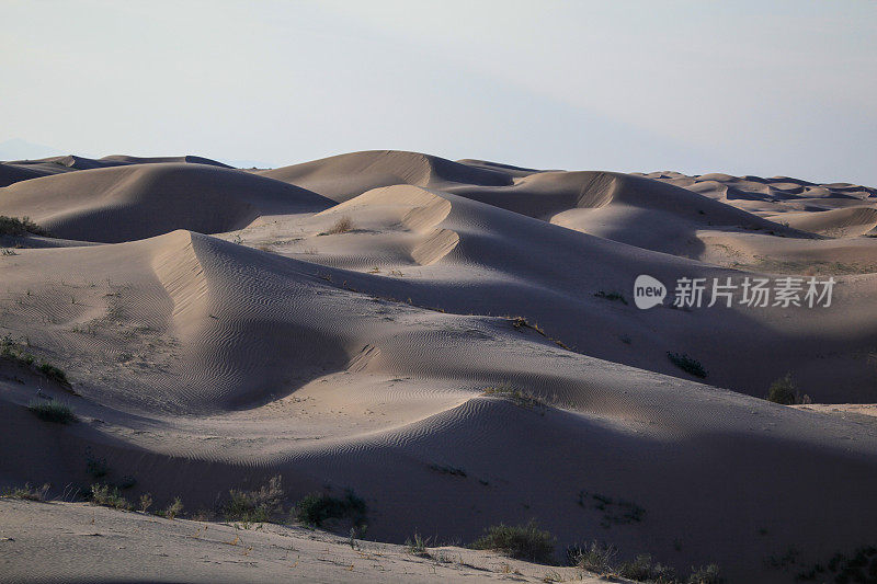 索尔顿海沙漠沙丘