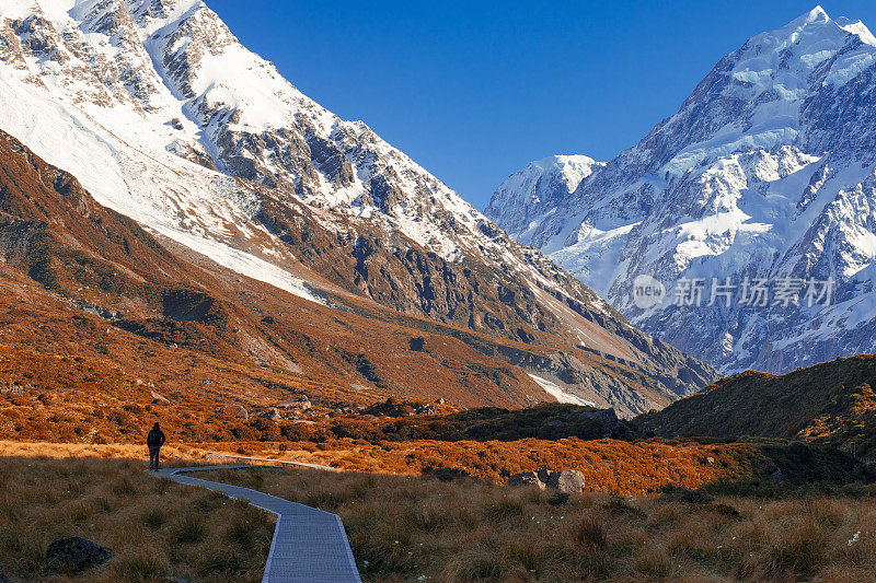 新西兰库克山;独自徒步旅行者在阳光下在库克山徒步路线。