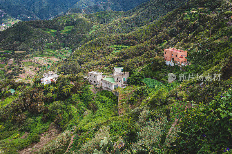 你会住在山里吗?