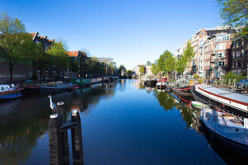 荷兰阿姆斯特丹:美丽的运河船屋黎明