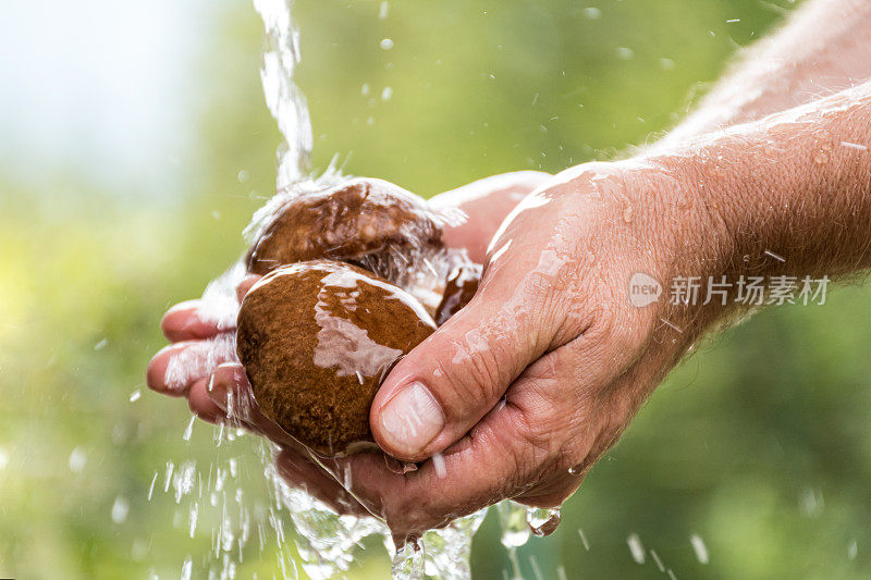 近距离的男人在户外的自来水下清洗牛肝菌