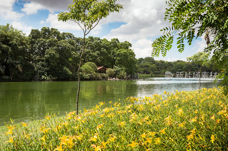 Ibirapuera湖公园，圣保罗，巴西。