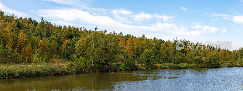 在游泳池小溪，德比郡，英格兰的一个宁静的钓鱼湖的岸边的秋天林地的网横幅组成。