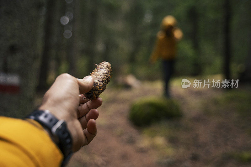 跟我来。回归自然。一对旅行者在树林里散步。一个快乐的年轻女游客漫步在大自然中。阳光明媚的日子里在森林里的户外享受。