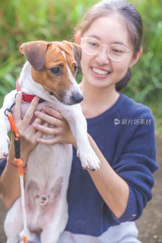 亚洲家庭十几岁的女孩玩好玩的她的宠物杰克罗素梗狗在花园在夏天的早晨