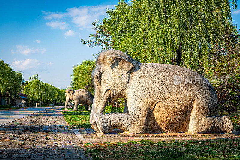 明十三陵雕像，大象，中国皇家白色大理石