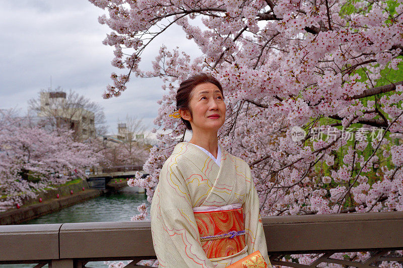 穿着和服的日本妇女在京都享受樱花盛开的季节