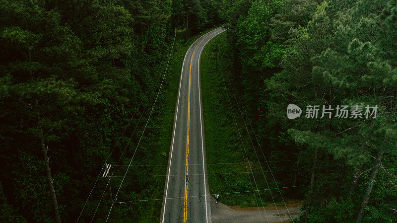 鸟瞰图穿过森林的道路在春天