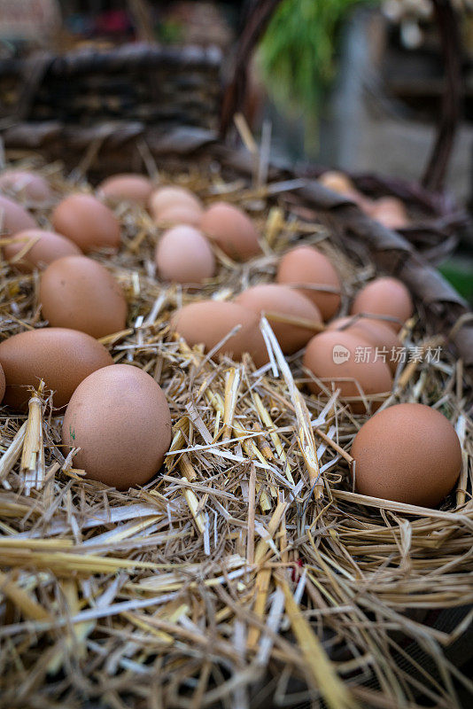 稻草篮子里的有机新鲜农场鸡蛋