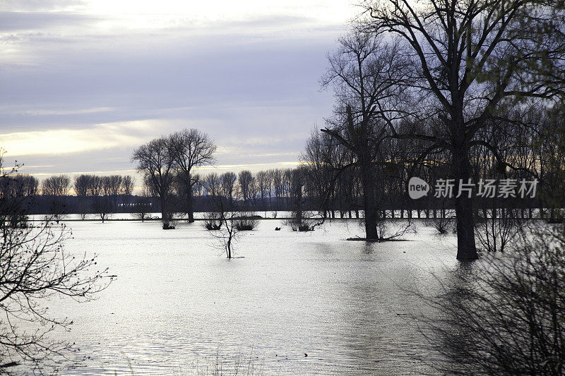 莱茵河在杜塞尔多夫泛滥