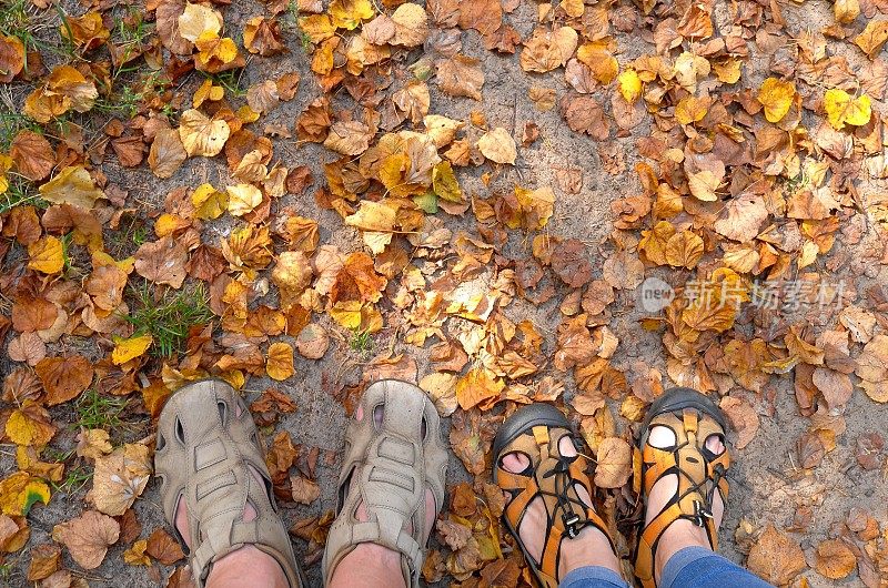 男男女女穿着凉鞋走在落叶覆盖的小径上