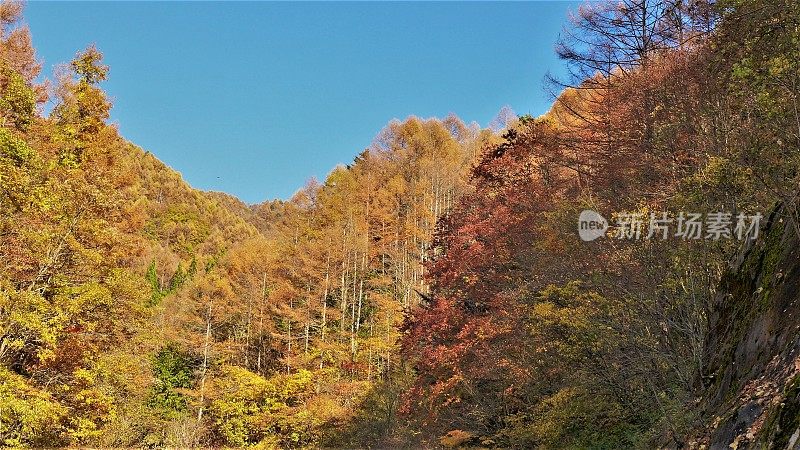 秋天的一座日本山