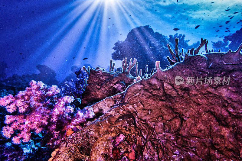 欣登(红岩)水下珊瑚礁顶部潜水地点泰国