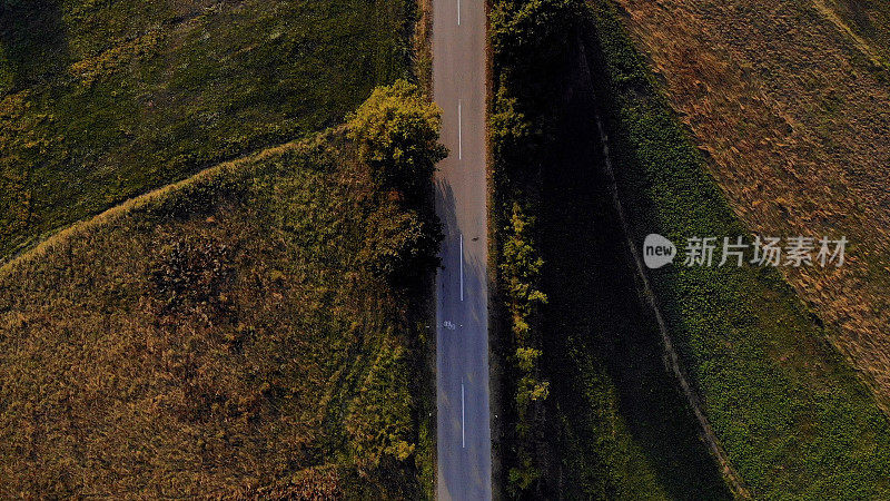 鸟瞰图，一辆红色的汽车沿着一条两侧是森林的道路行驶