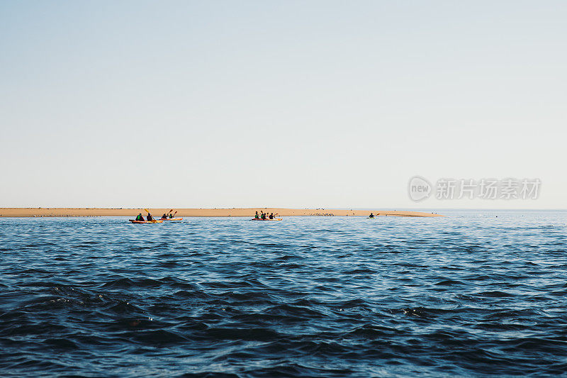 在纳米比亚的鹈鹕角，人们和一群海豹在阳光明媚的夏日划皮划艇