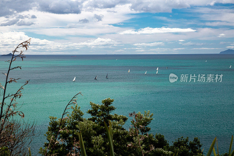 新西兰陶兰加的芒格努伊山海滩