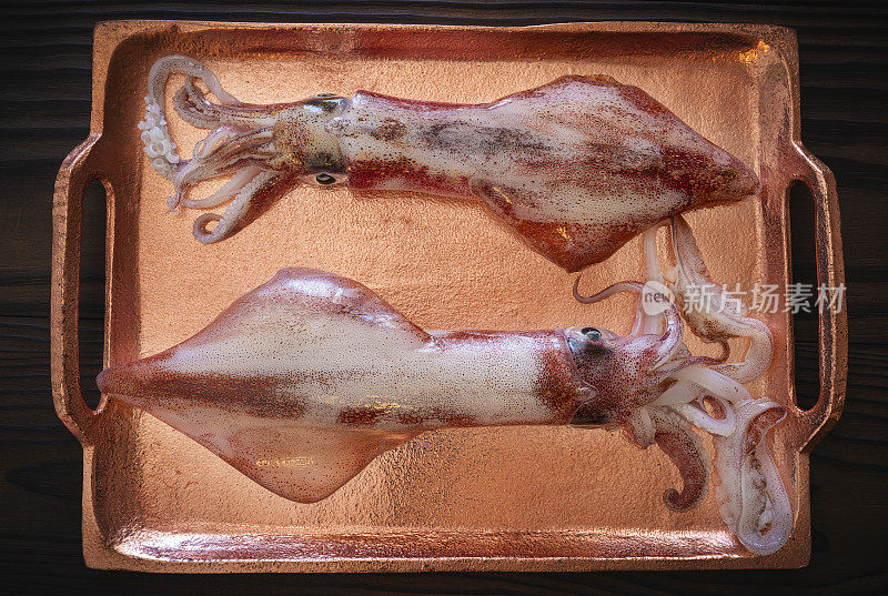 两只刚捕获海鲜的新鲜鱿鱼鱿鱼放在深色的木头托盘上